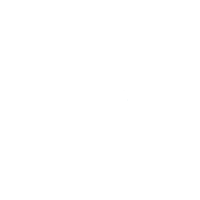 BWFF_Logo_White